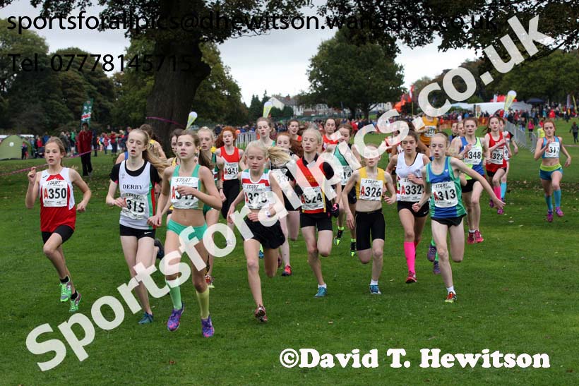 Girls under-13s Northern Cross Country Relays, Graves Park, Sheffield. Photo: David T. Hewitson/Sports for All Pics